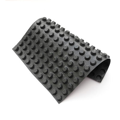 Sistema modulare di tetto verde Hdpe Dimple membrana di drenaggio mesh Mat Board