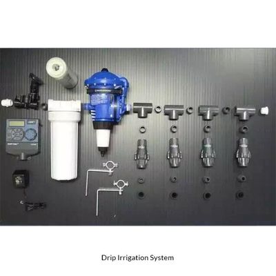 HDPE PP Fabbricazione artificiale idroponica per piantare piante di plastica moderna