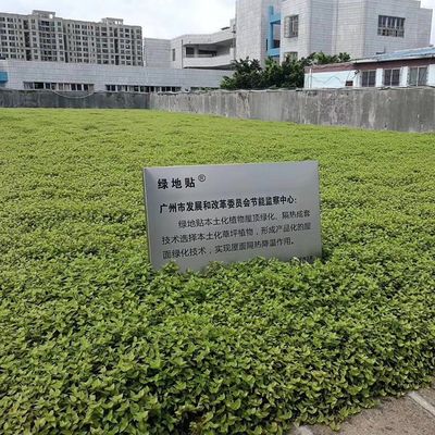 Utilizzazione in giardino Pianta idroponica Semi quadrati Pianta di plastica vassoio di fiori vassoio Dissolvere muffe