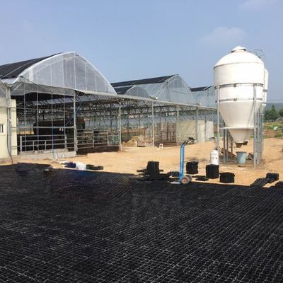 330*330*50mm Altezza 5mm Cavallo da cavallo Paddock Grass Paver Stall Grid Cavallo Paddock Grid