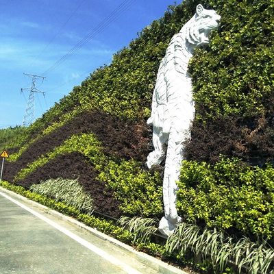 Piantatore di vasi da giardino per fiori verticali Set di kit di propagazione per la piantagione verticale quotidiana