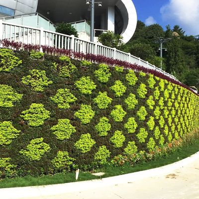 Piantagione per piante a parete per la visualizzazione verticale di fiori/piante verdi