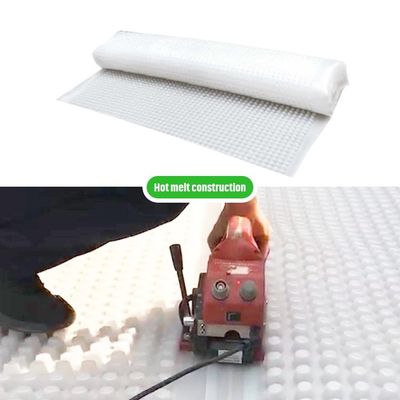 Sistema modulare di tetto verde Hdpe Dimple membrana di drenaggio mesh Mat Board