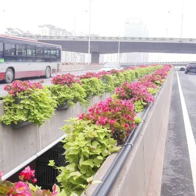 Giardino di fiori all' aperto a più livelli Balcone Gran piantatore bianco con scatola extra