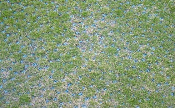 Soluzione per parcheggi alberghieri Griglia verde resistente alla ghiaia con materiale HDPE rinforzato
