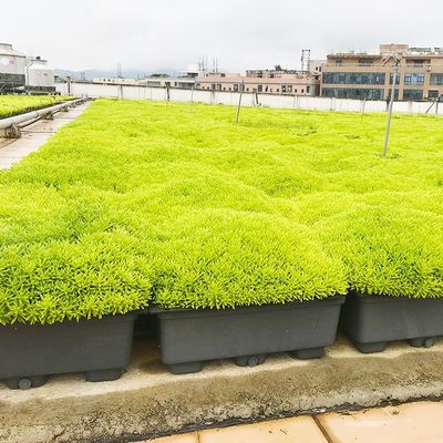 Facile da assemblare vaso da giardino di plastica per l' ornamento e il verde del giardino