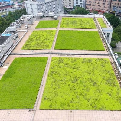Tavolo verde modulare per impianti di piantagione con materiale di plastica in PP senza rivestimento