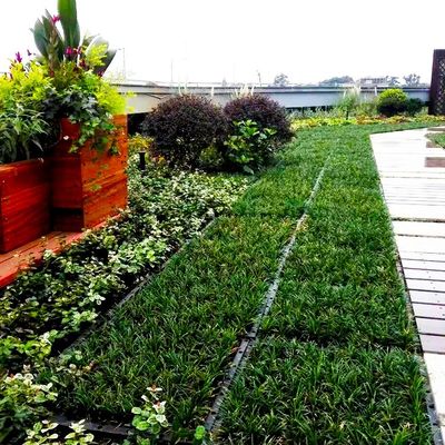 Moduli di tetto verde a forma quadrata PP Materiale plastico Giardino Piantagione facile da installare