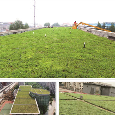 Sistema di vaschette modulari per il tetto verde Sedum ecologico per piantare fiori e verdure