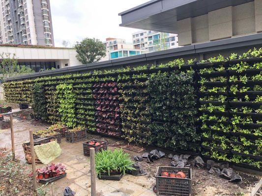 Piantatrici da giardino verticali in piedi di materiale plastico Piantatrici da giardino per abitazioni interne